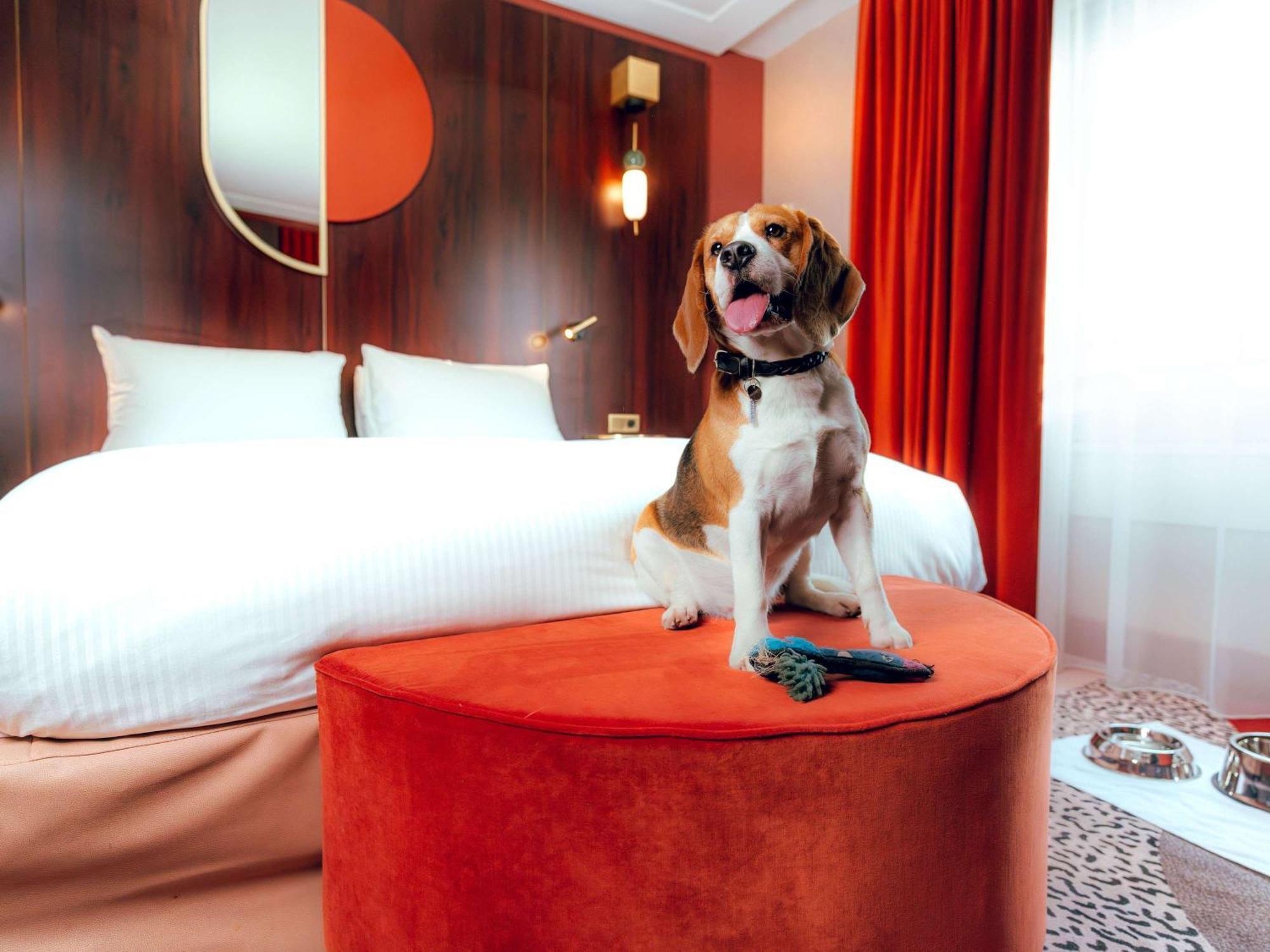 Nest Hotel Paris La Defense - Mgallery Collection بيتّو المظهر الخارجي الصورة A dog in a hotel room